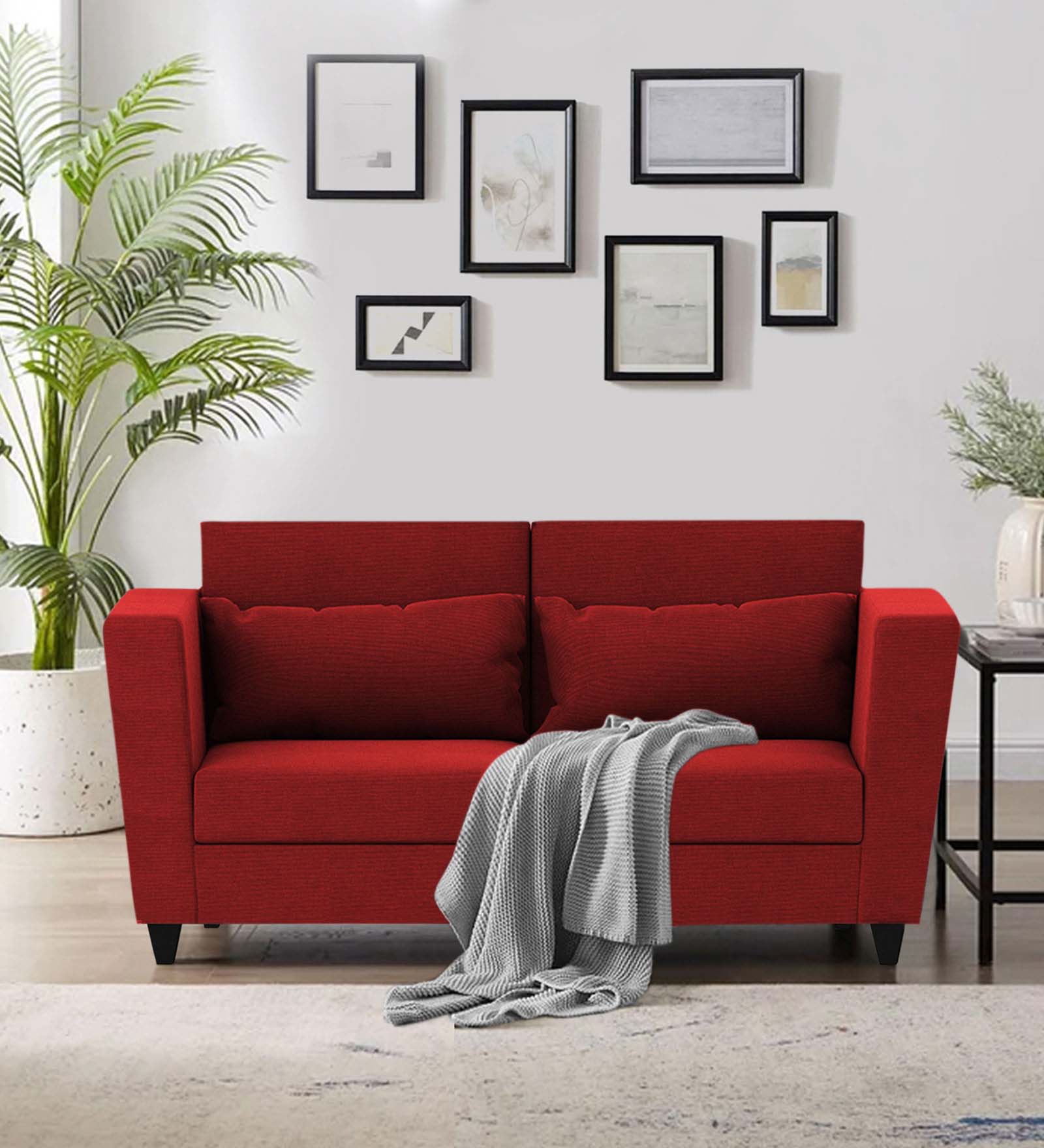 Tokyo Fabric 2 Seater Sofa in Blood Maroon Colour