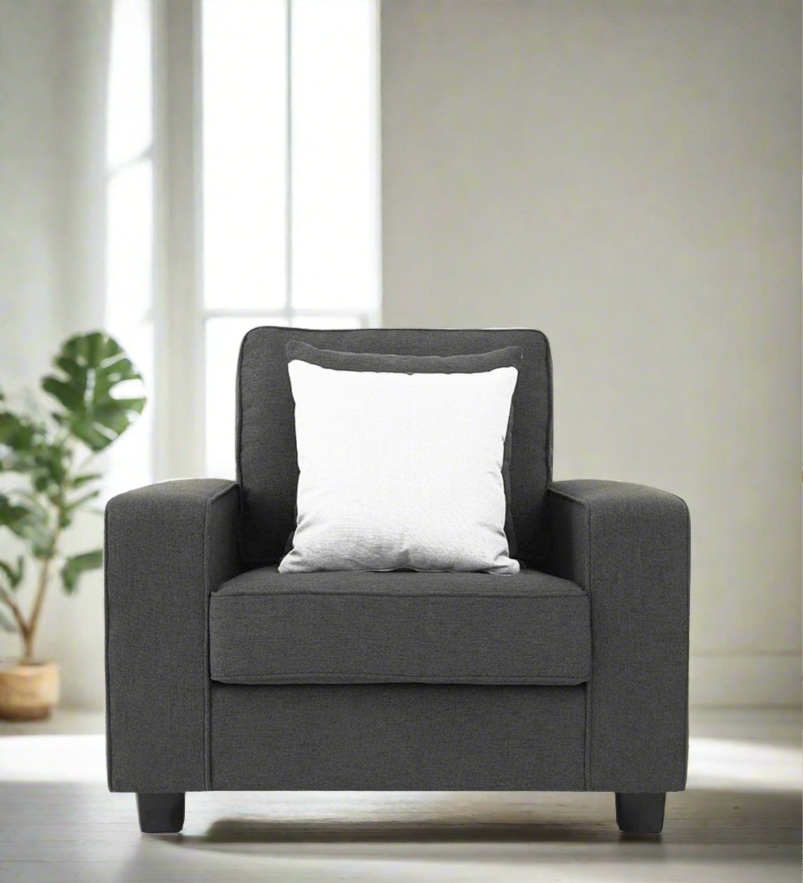Ladybug Fabric 1 Seater Sofa In Charcoal Grey Colour