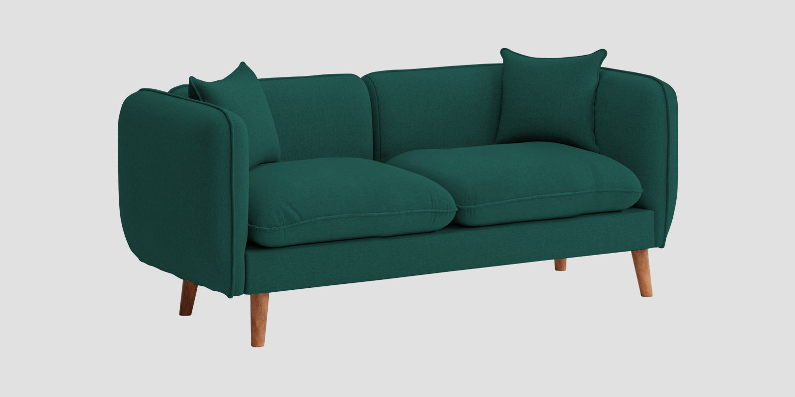 Reva Fabric 2 Seater Sofa In Sage Green Colour - Febonic Living