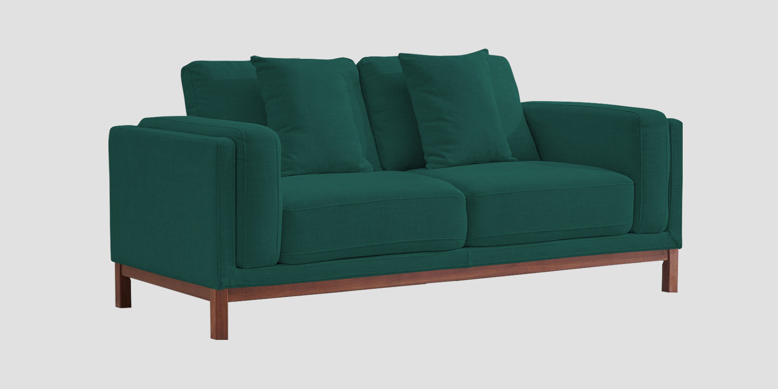 Borry Fabric 2 Seater Sofa in Sage Green Colour - Febonic Living