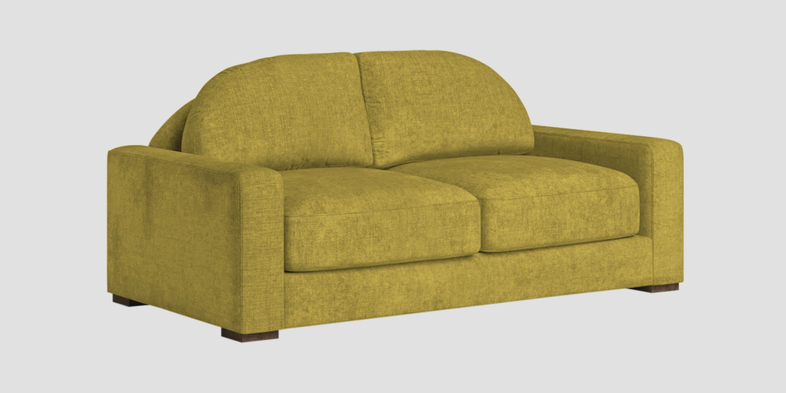 Dara Fabric 2 Seater Sofa In Parrot Green Colour - Febonic Living