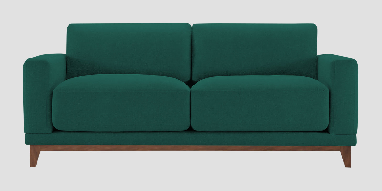 Esha Fabric 2 Seater Sofa In Sage Green Colour - Febonic Living