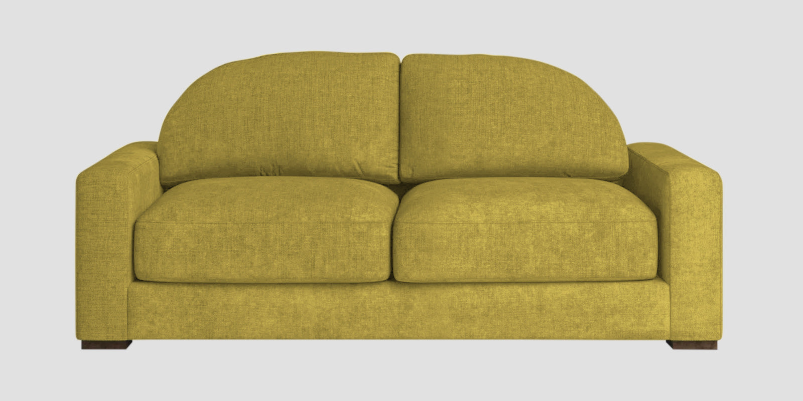 Dara Fabric 2 Seater Sofa In Parrot Green Colour - Febonic Living