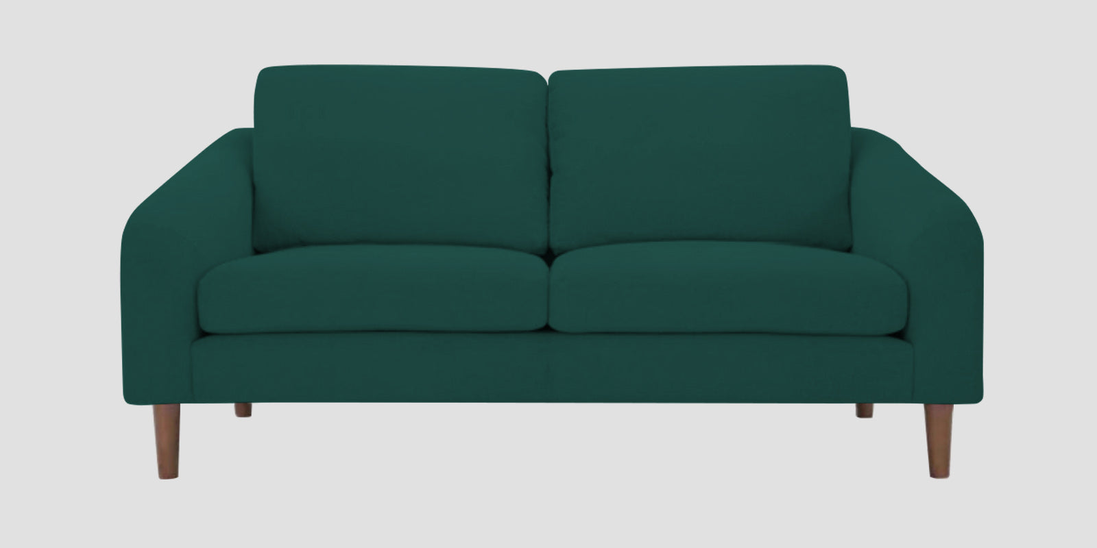 Elara Fabric 2 Seater Sofa in Sage Green Colour - Febonic Living