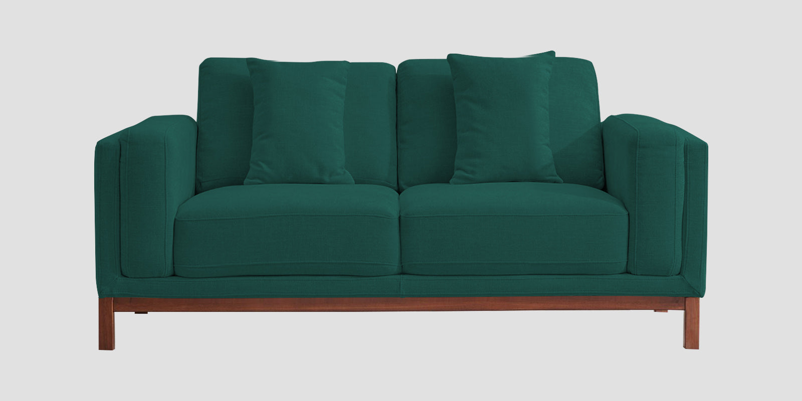 Borry Fabric 2 Seater Sofa in Sage Green Colour - Febonic Living