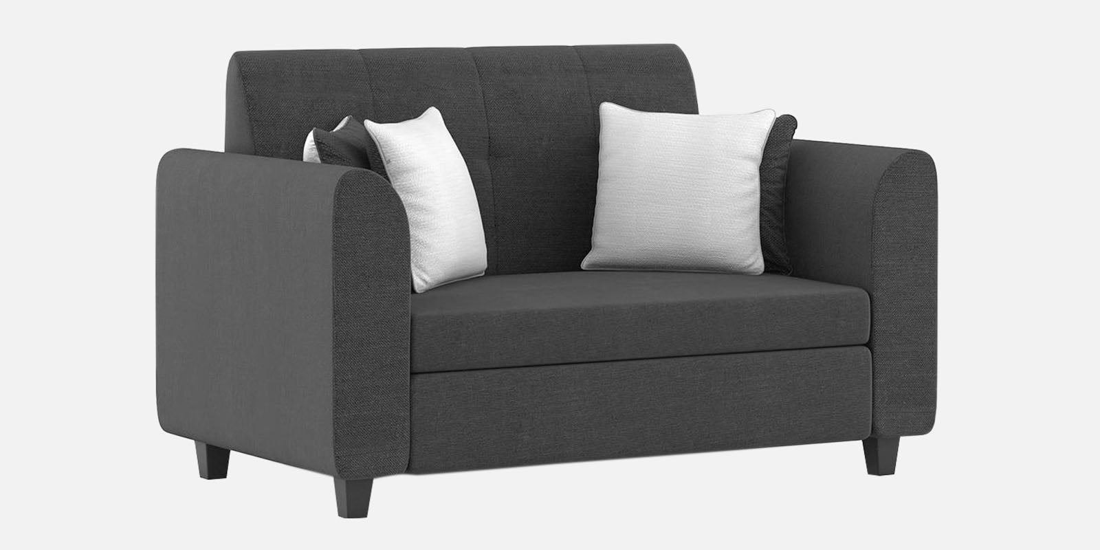 Denmark Fabric 2 Seater Sofa In Charcoal Grey Colour - Febonic Living