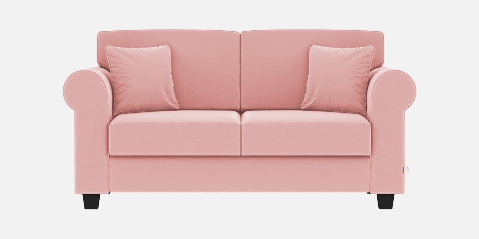 Numonk Velvet 2 Seater Sofa In Millennial Pink Colour - Febonic Living