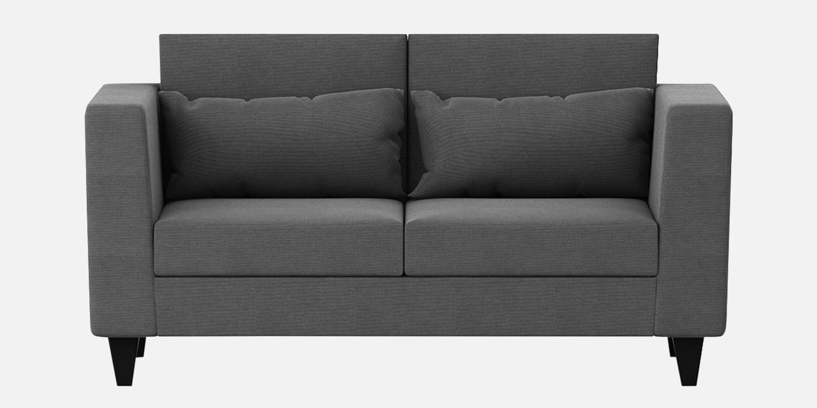 Nipul Fabric 2 Seater Sofa In Charcoal Grey Colour - Febonic Living
