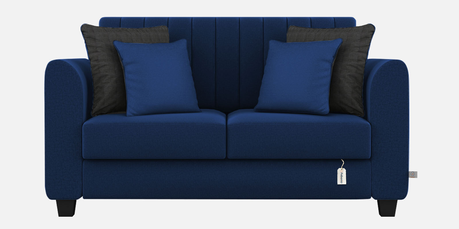 Cosmic Fabric 2 Seater Sofa In Royal Blue Colour - Febonic Living