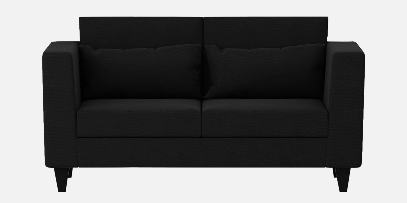 Nipul Fabric 2 Seater Sofa in Zed Black Colour
