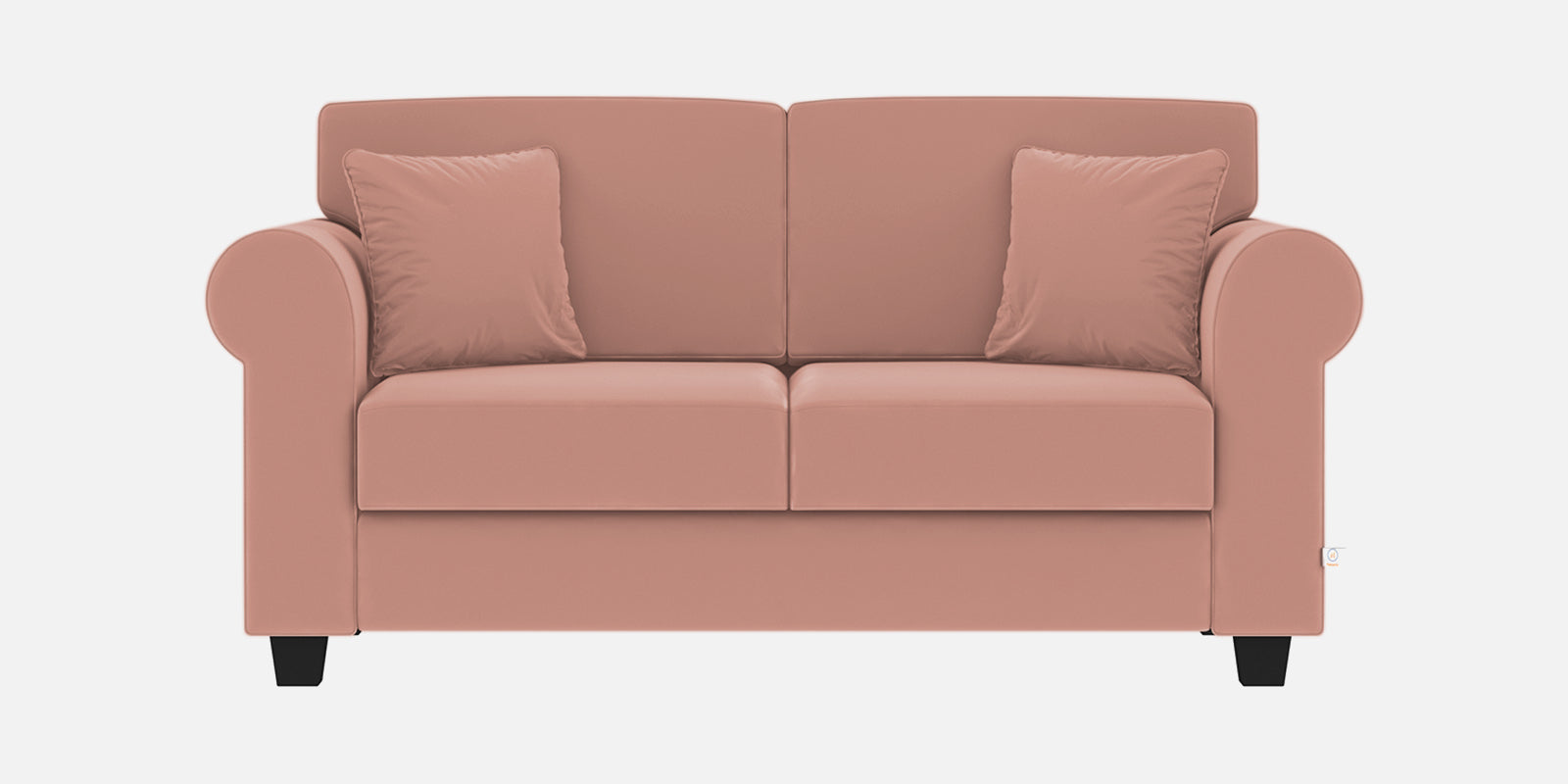 Numonk Velvet 2 Seater Sofa In Blush Pink Colour - Febonic Living