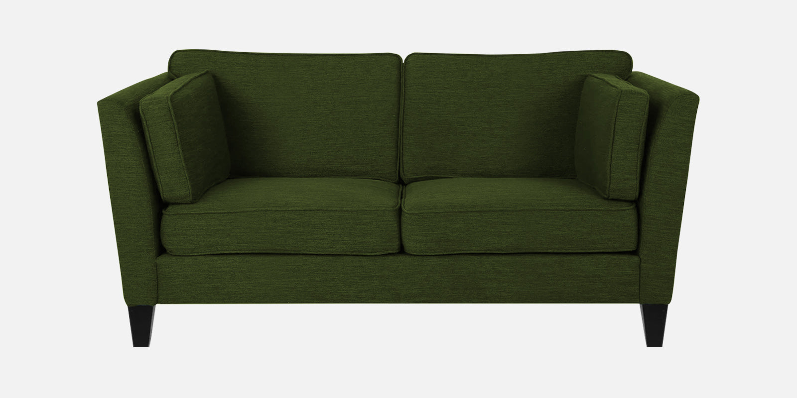 Nigar Fabric 2 Seater Sofa in Olive Green Colour