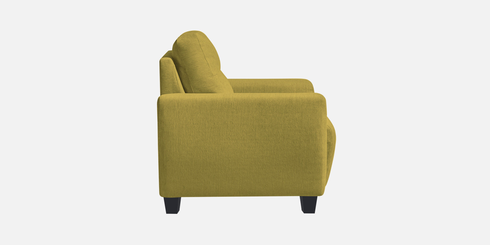 Bakadi Fabric 2 Seater Sofa In Parrot Green Colour - Febonic Living