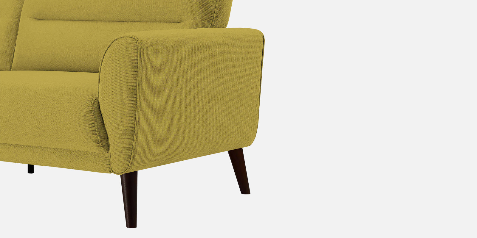 Castro Fabric 2 Seater Sofa In Parrot Green Colour - Febonic Living