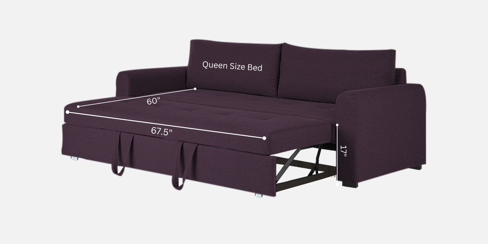 Sigma Fabric 3 Seater Pull Out Sofa Cum Bed In Greek Purple Colour - Febonic Living