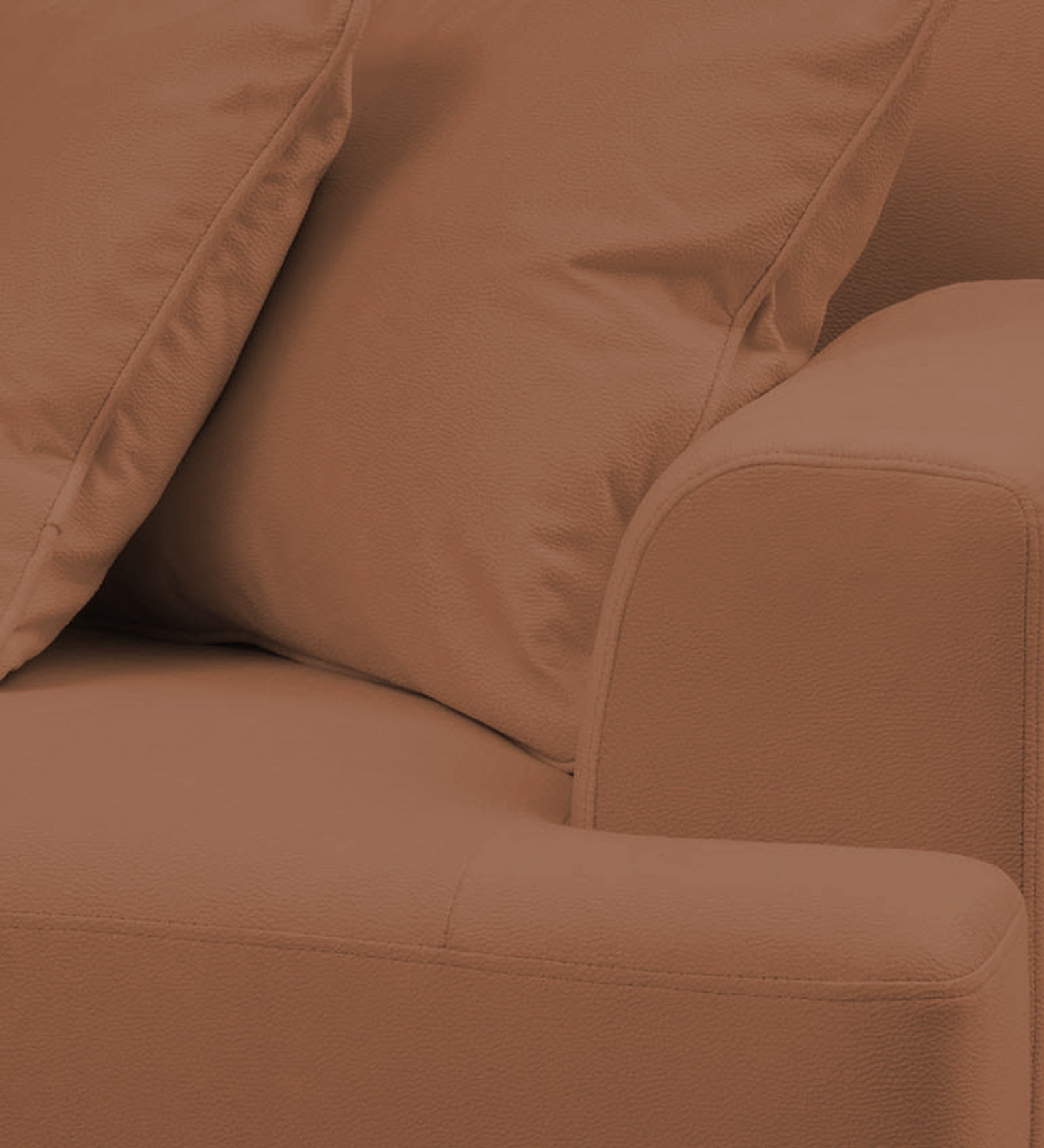 Woody Fabric 1 Seater Sofa in Caramel Beige Colour
