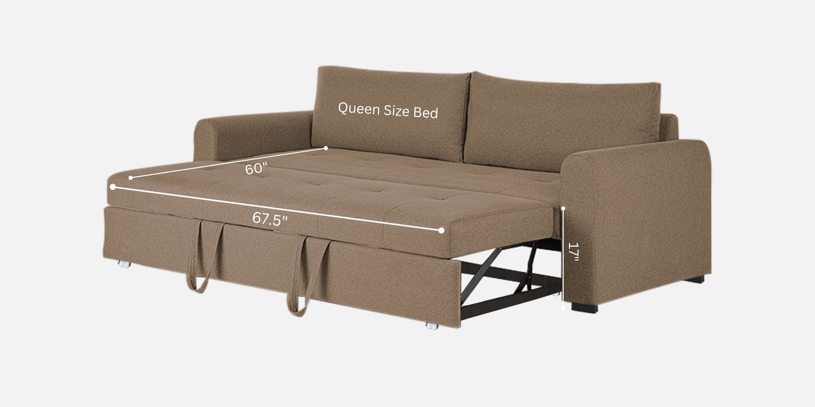 Sigma Fabric 3 Seater Pull Out Sofa Cum Bed In Cookie Beige Colour - Febonic Living