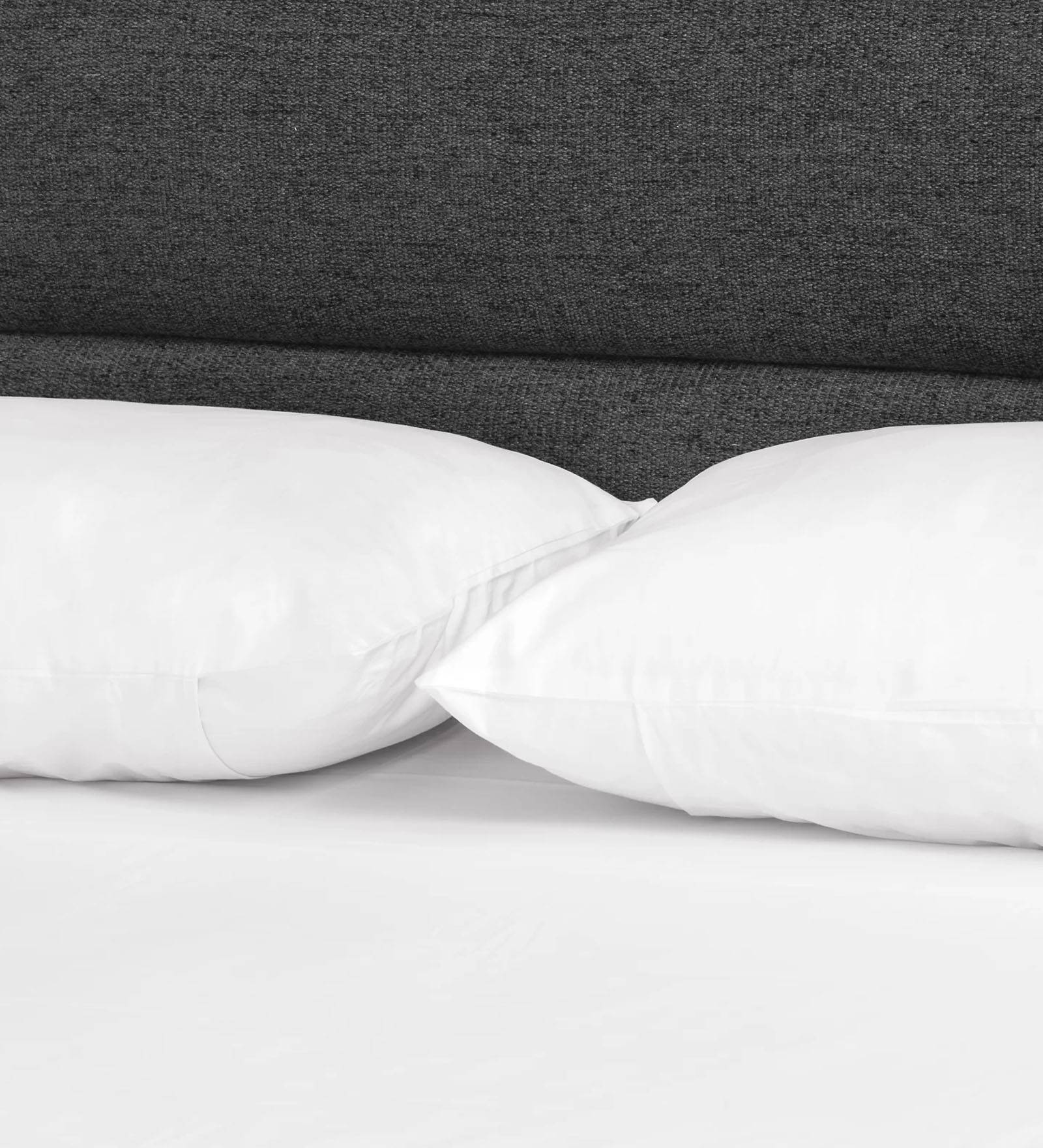 Pollen Fabric Queen Size Bed In Charcoal Grey Colour - Febonic Living