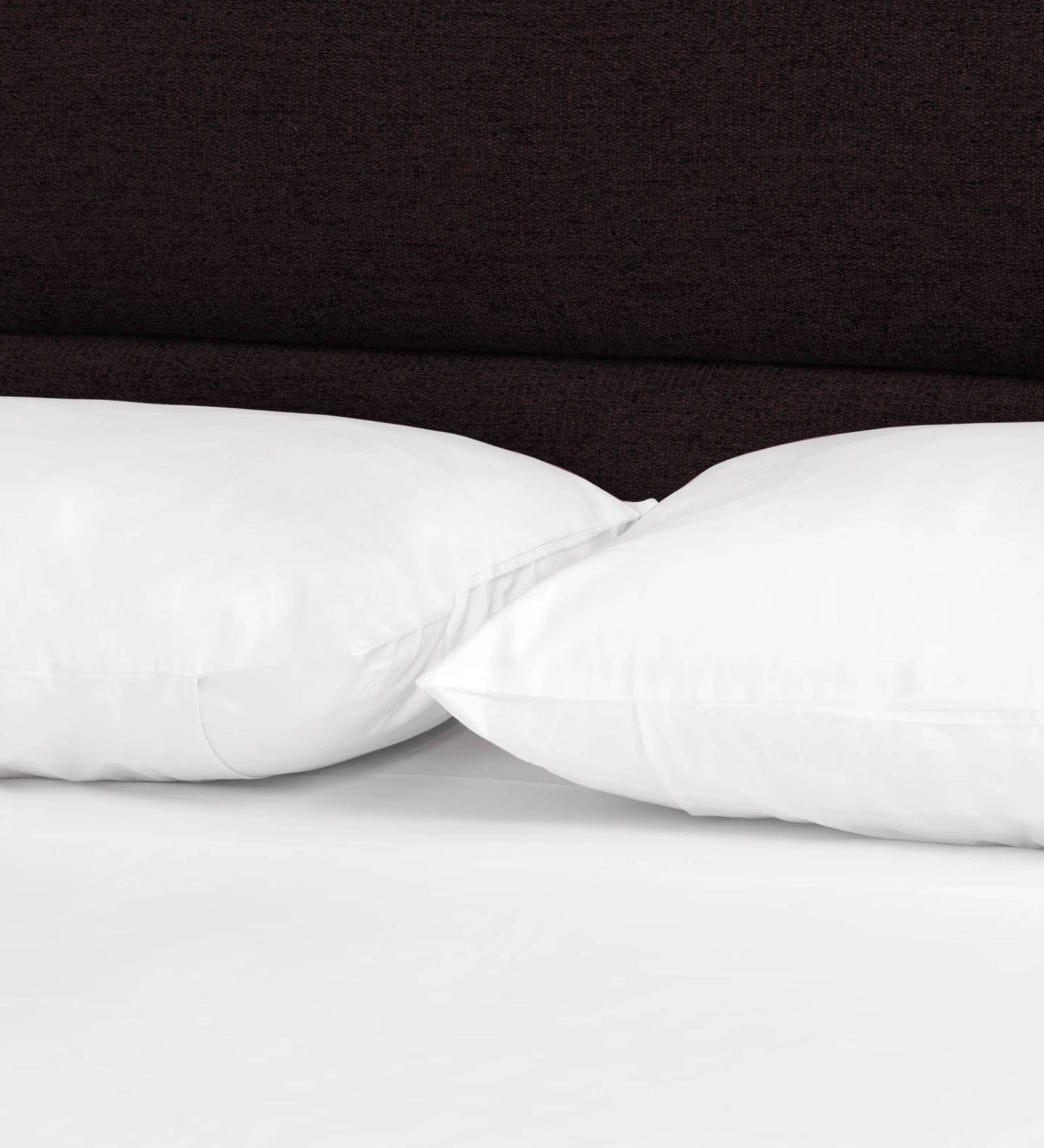 Pollen Fabric Queen Size Bed In Cara Brown Colour - Febonic Living