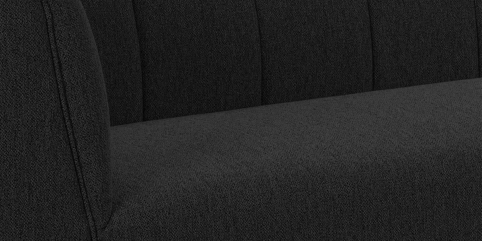 Chastin Fabric 2 Seater Sofa In Zed Black Colour - Febonic Living