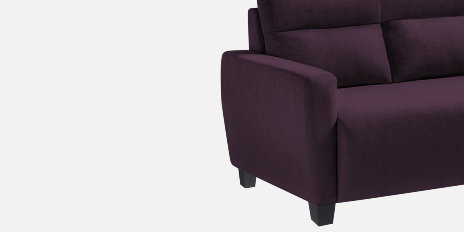 Bakadi Fabric 2 Seater Sofa In Greek Purple Colour - Febonic Living