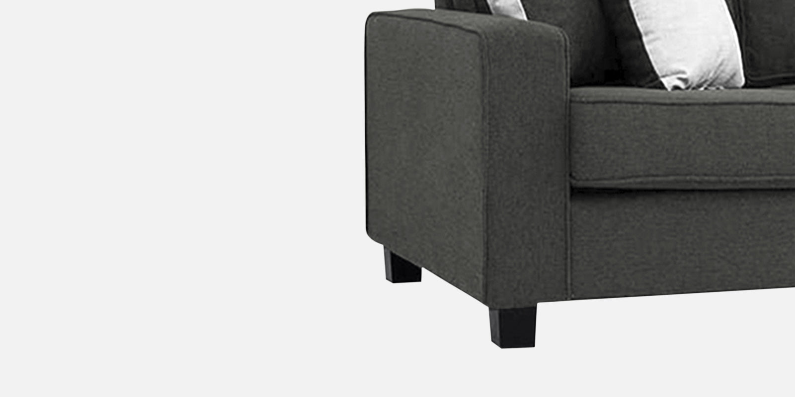 Ladybug Fabric 2 Seater Sofa In Charcoal Grey Colour - Febonic Living