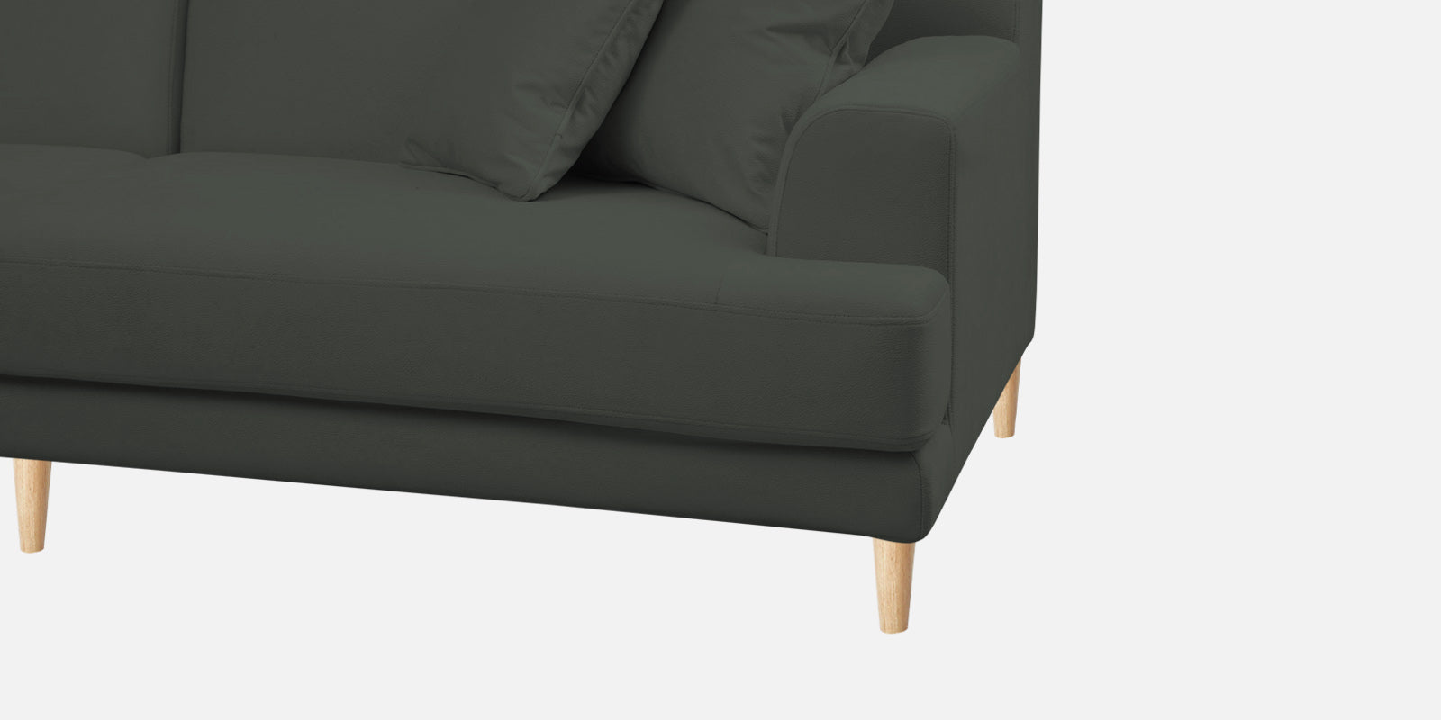 Woody Fabric 2 Seater Sofa In I-Land Green Colour - Febonic Living