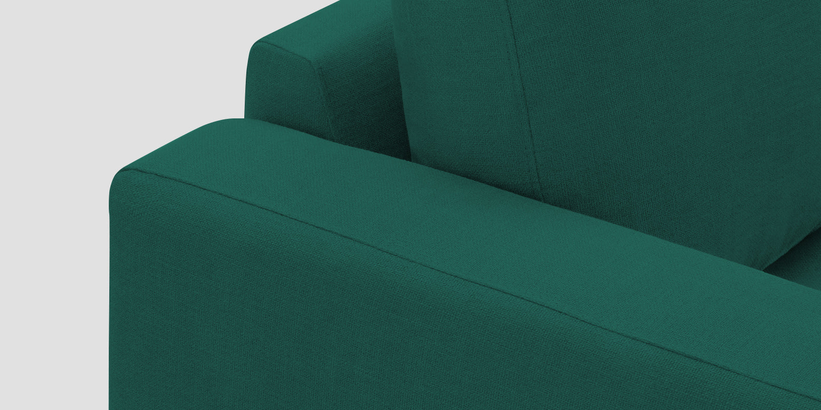 Esha Fabric 2 Seater Sofa In Sage Green Colour - Febonic Living