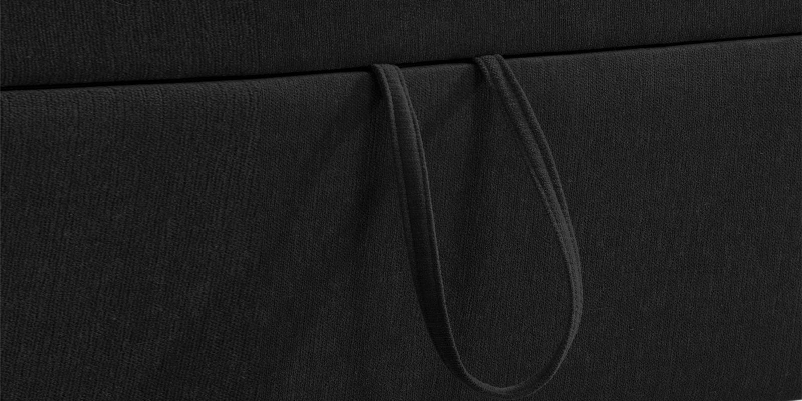 Kara Fabric 2 Seater Pull Out Sofa Cum Bed In Zed Black Colour - Febonic Living