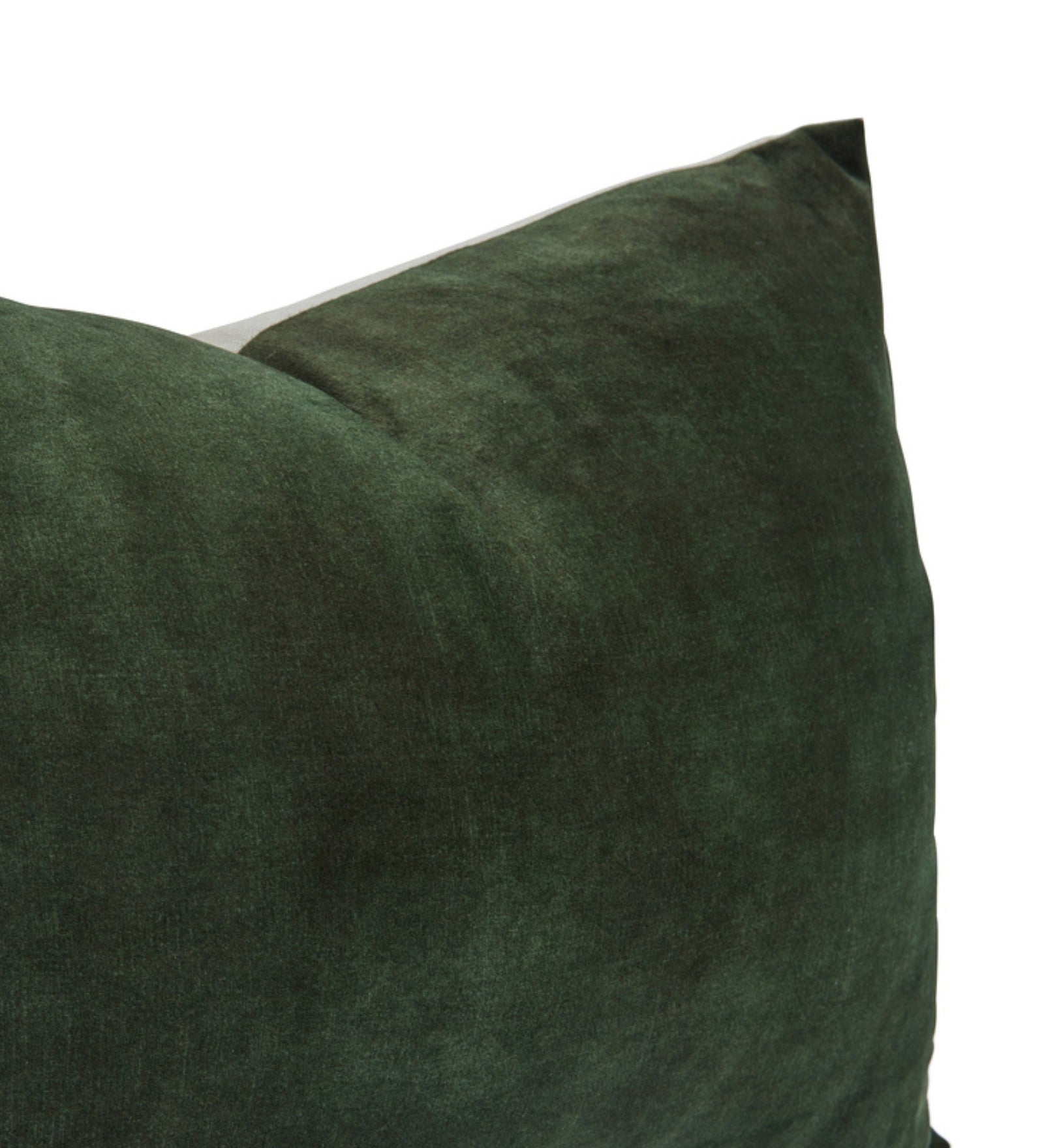 Lexi Velvet (20x12) Fiber Pillows (Pack of 2) In Amazon Green Colour - Febonic Living