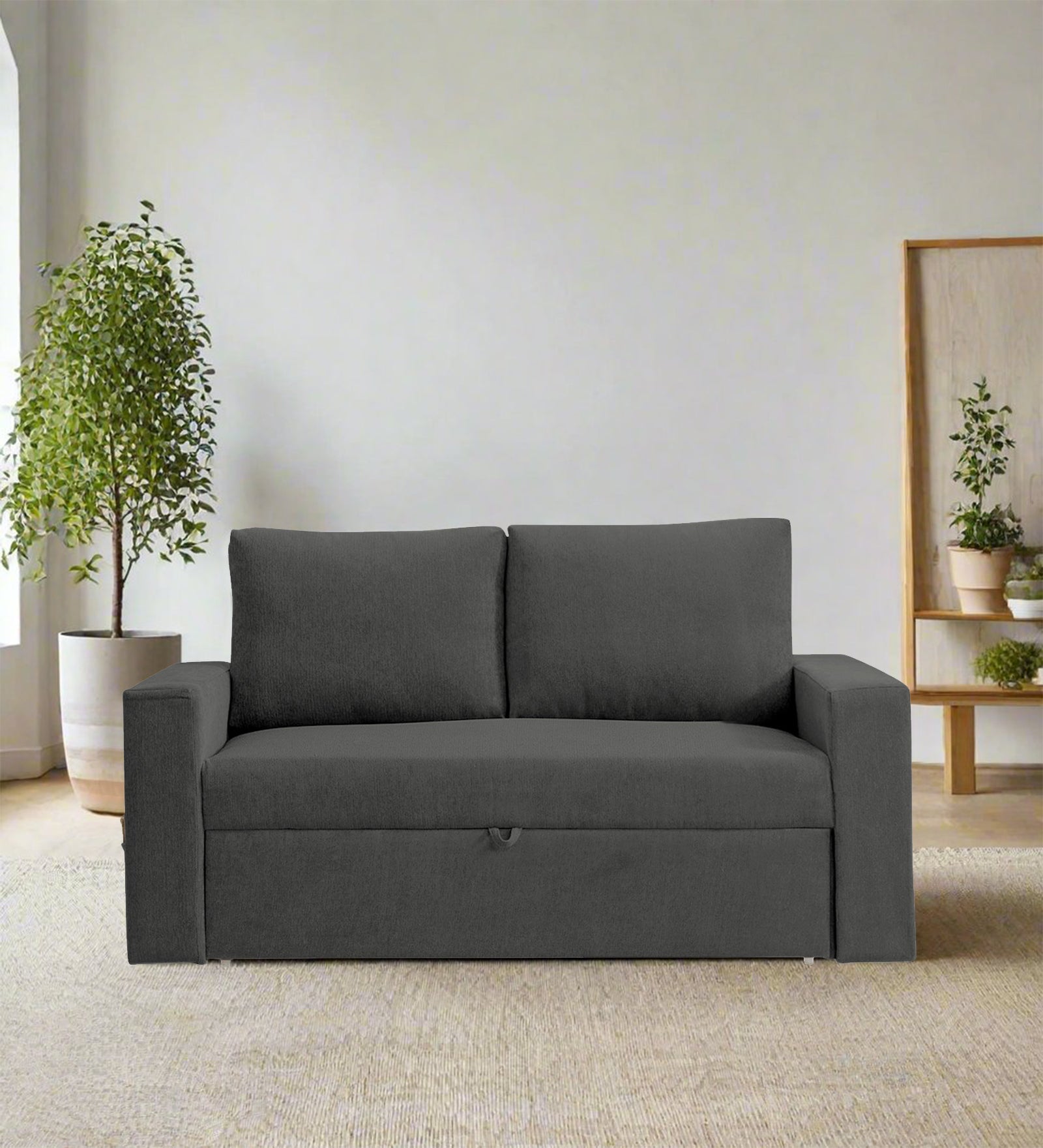 Kara Fabric 2 Seater Pull Out Sofa Cum Bed In Charcoal Gray Colour - Febonic Living