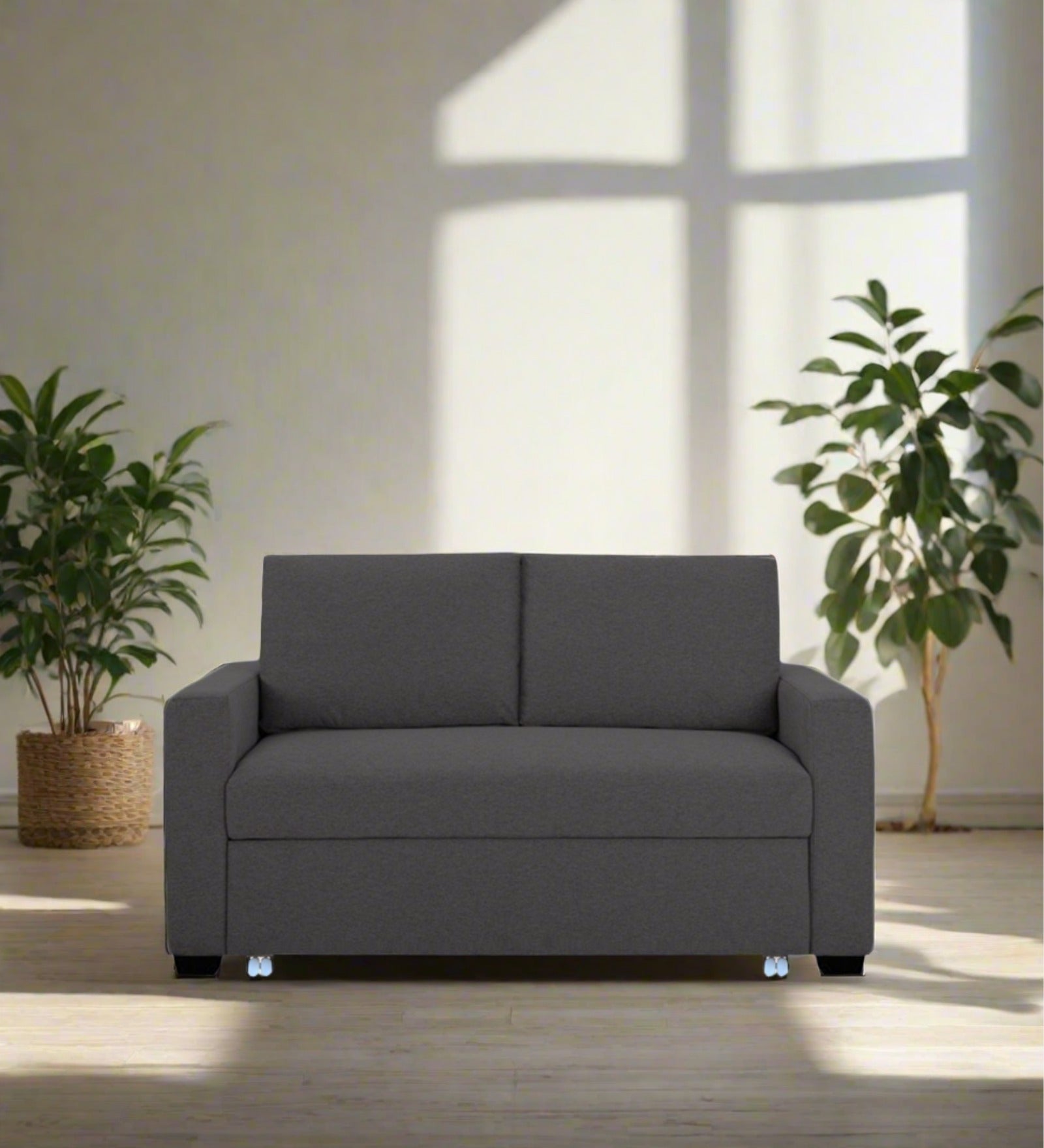 Lobby Fabric 2 Seater Pull Out Sofa Cum Bed In Charcoal Grey Colour - Febonic Living