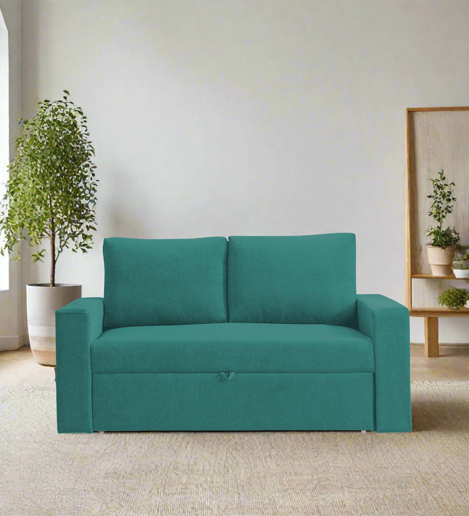 Kara Fabric 2 Seater Pull Out Sofa Cum Bed In Sea Green Colour - Febonic Living