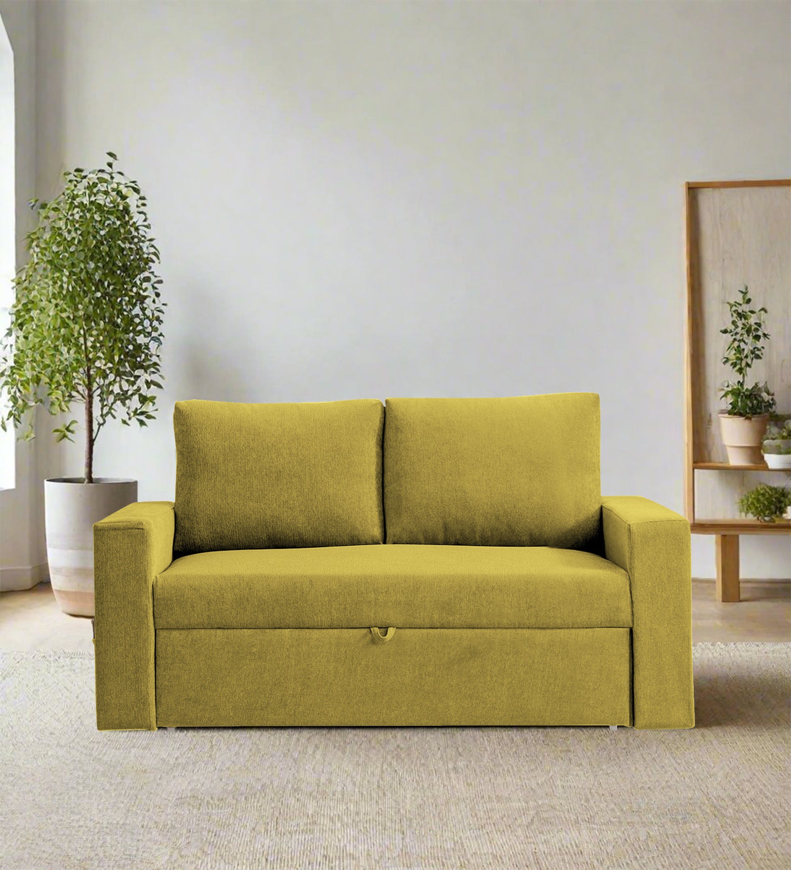 Kara Fabric 2 Seater Pull Out Sofa Cum Bed In Parrot Green Colour - Febonic Living