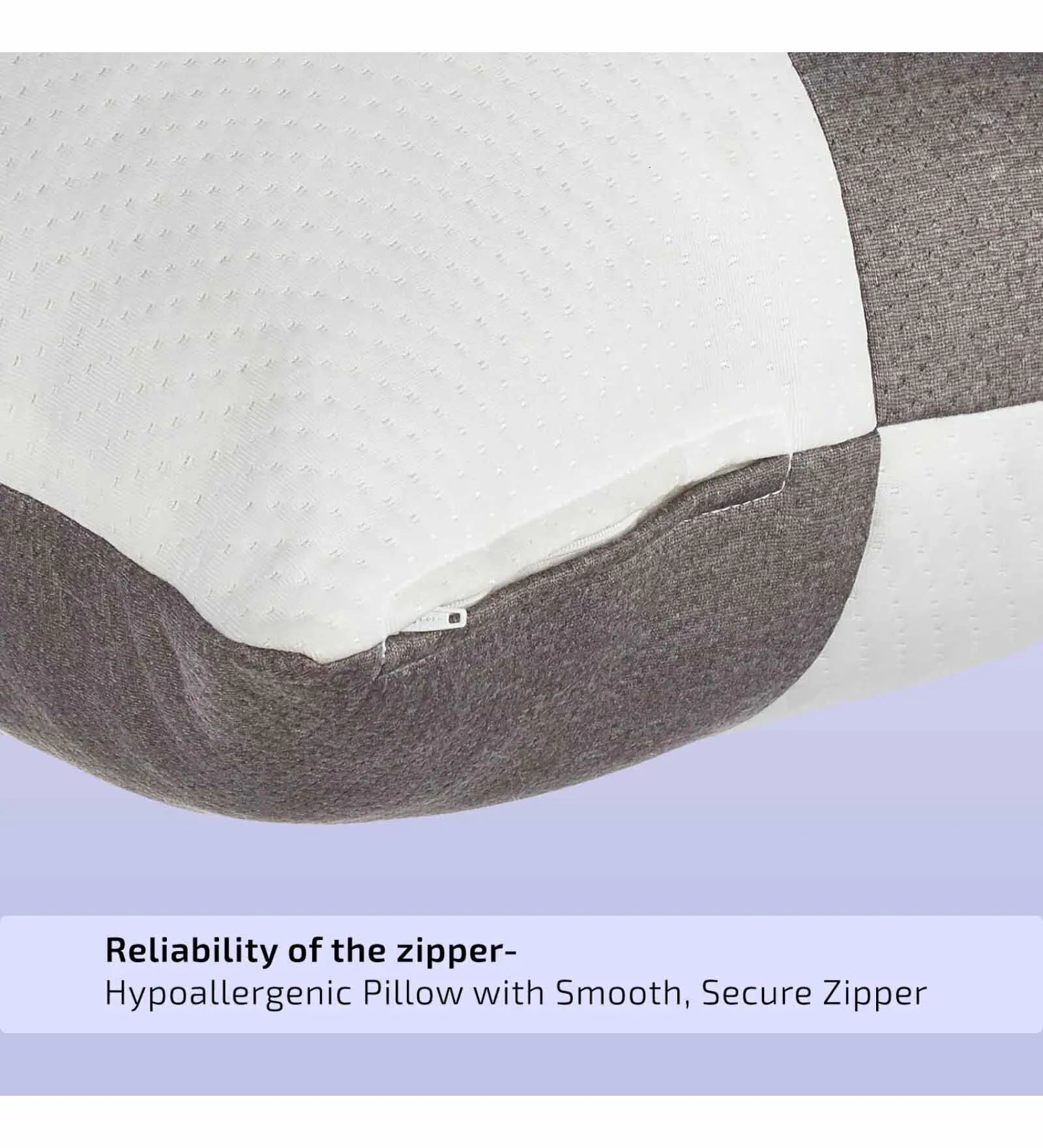 Hebo Fiber (27x16in) Sofa Pillows in (Pack of 2) - Febonic Living