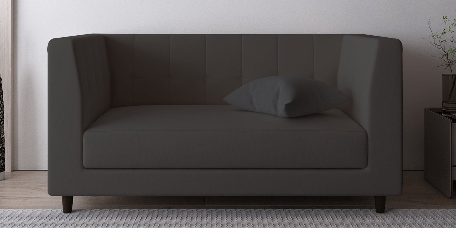 Braulia Velvet 2 Seater Sofa In Davy Grey Colour - Febonic Living