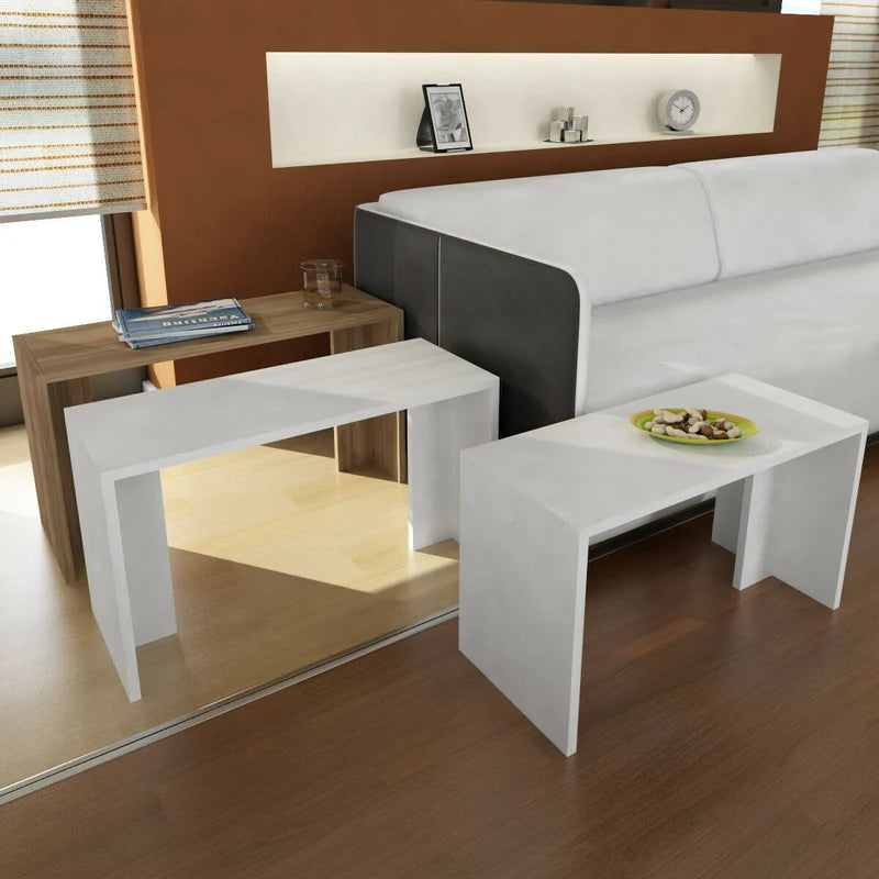 Shail Nesting Table In Frosty White & Oral Walnut Finish - Febonic Living