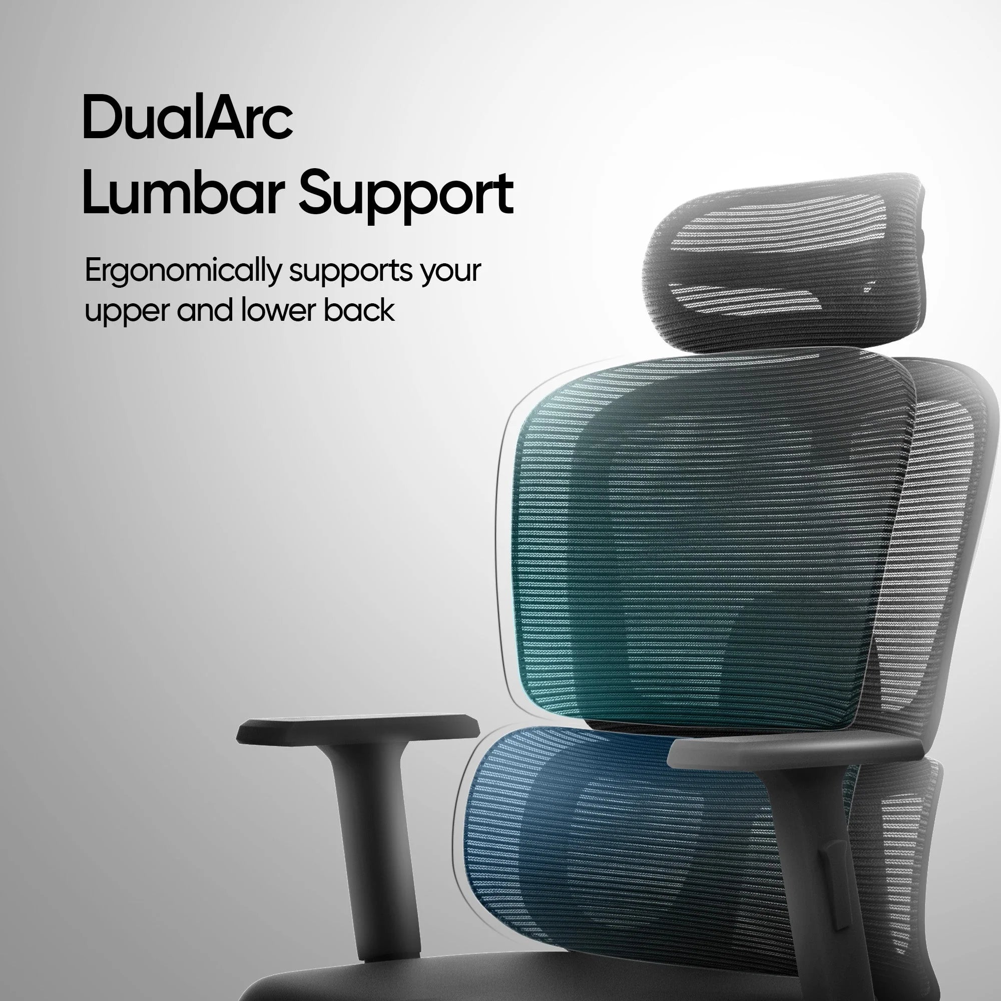 ERO Mesh Ergonomic Office Chair In Baba Black - Febonic Living