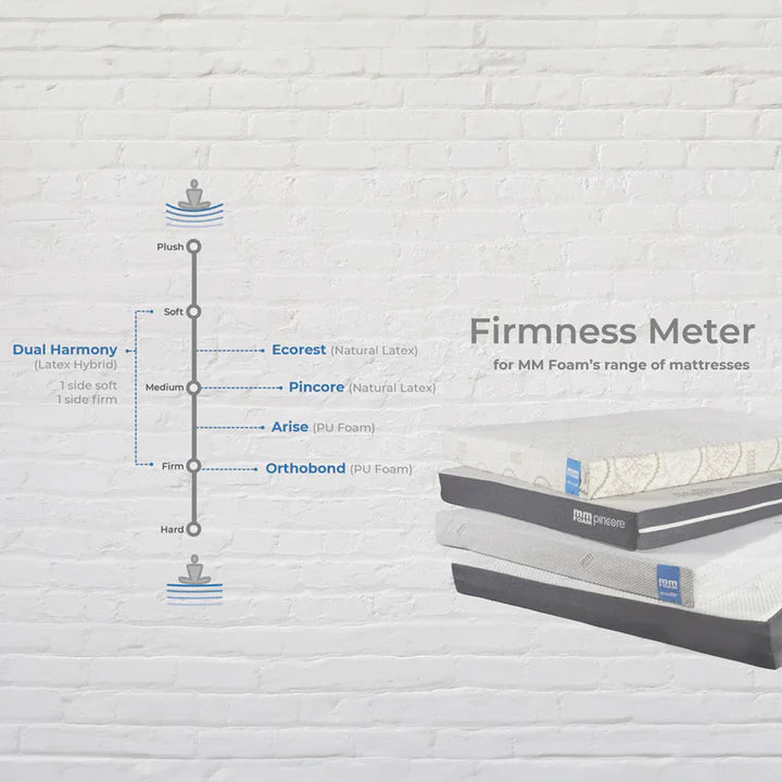Arise Foam Queen Size Mattress