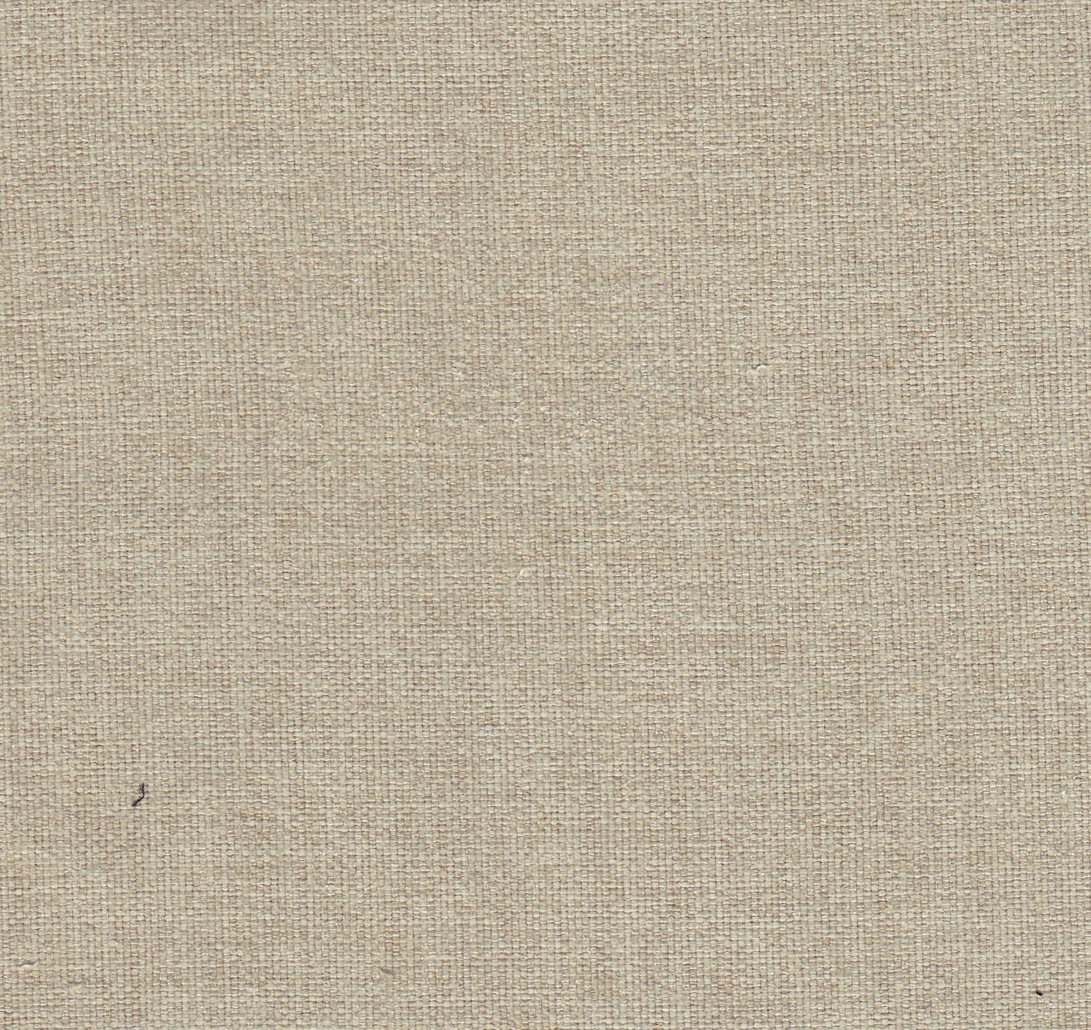 Bhava Water Proof Velvet Dining Chair In Cashew Cream Colour