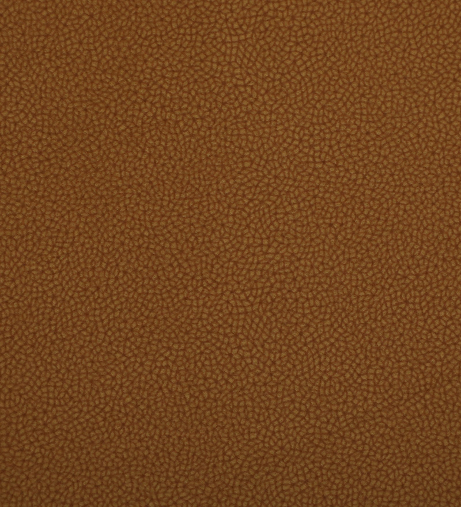 Tanu Sheesham Wood Arm Chair In Provincial Teak Finish - Febonic Living