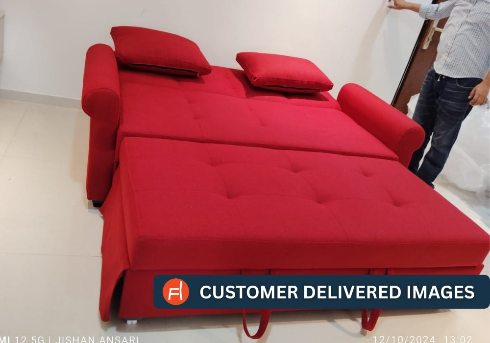 Fornia Fabric 3 Seater Pull Out Sofa Cum Bed In Olive Green Colour - Febonic Living