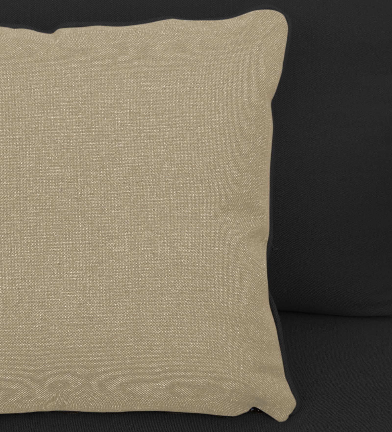 Fuju Fabric 1 Seater Sofa in Crypto Bitter Black Colour - Febonic Living