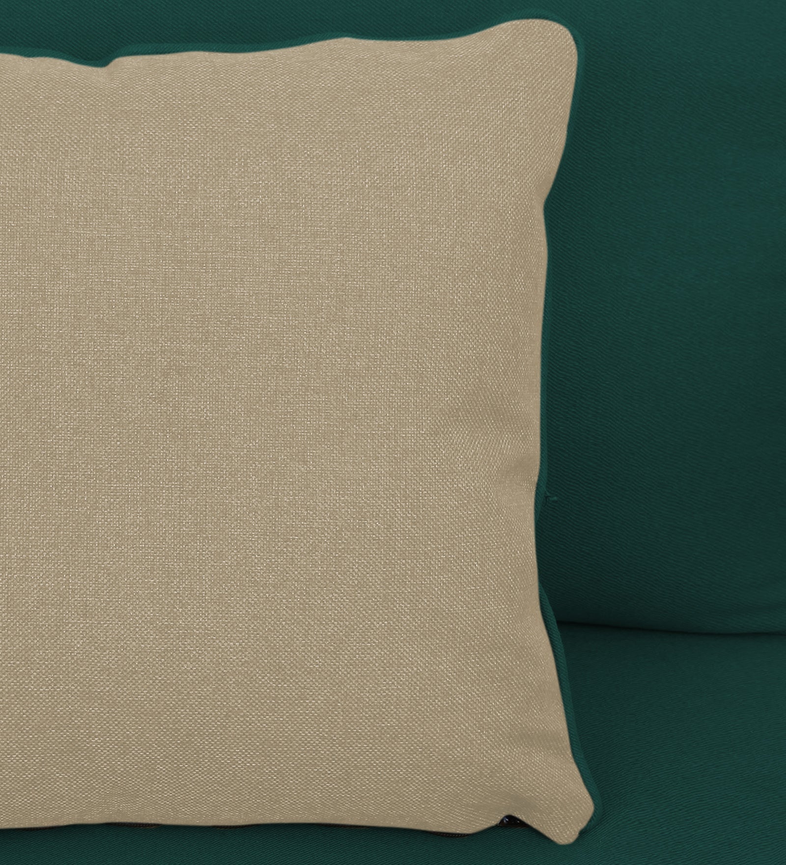 Fuju Fabric 1 Seater Sofa in Crypto Sage Green Colour - Febonic Living