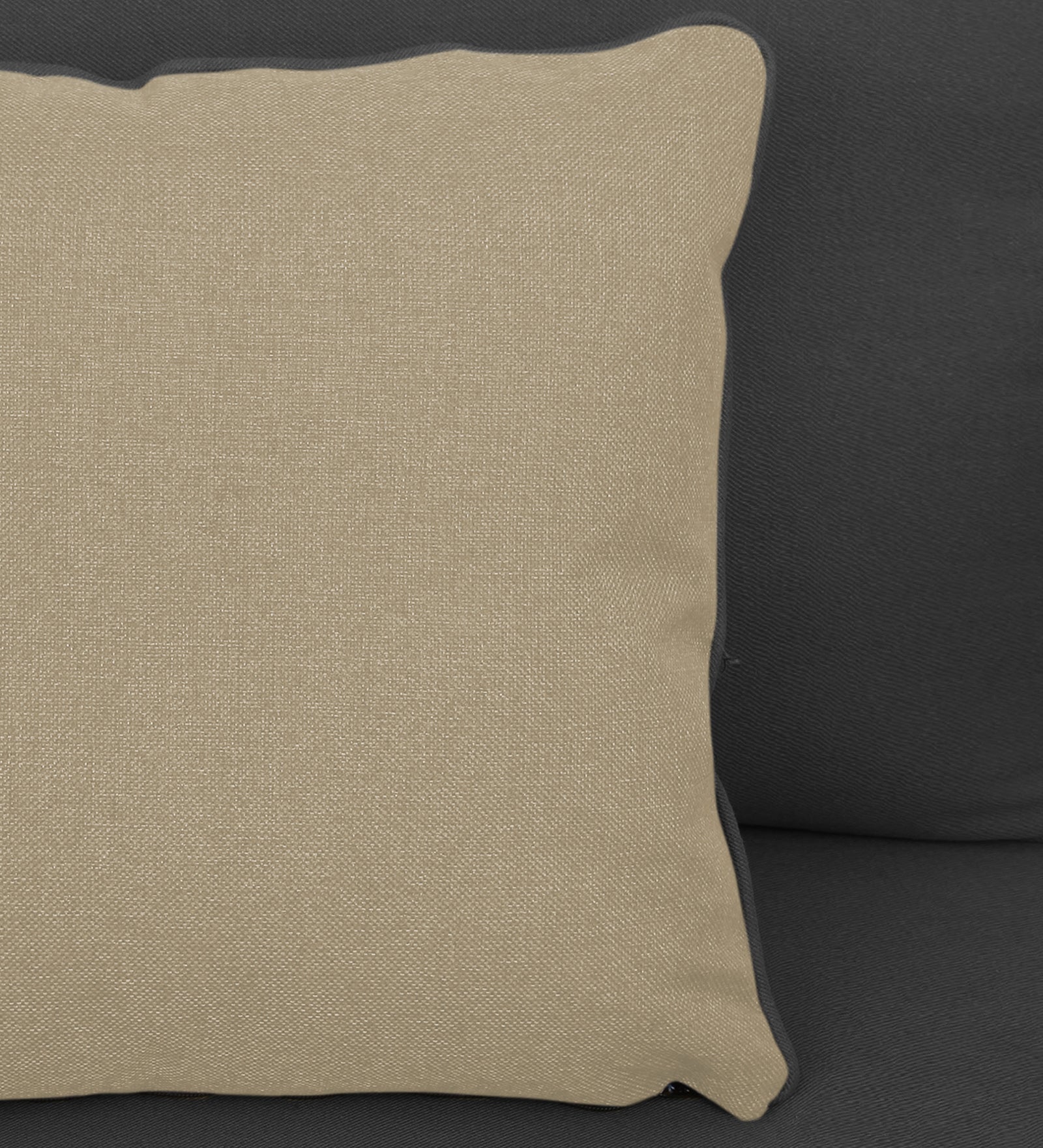 Fuju Fabric 1 Seater Sofa in Crypto Stone Grey Colour - Febonic Living