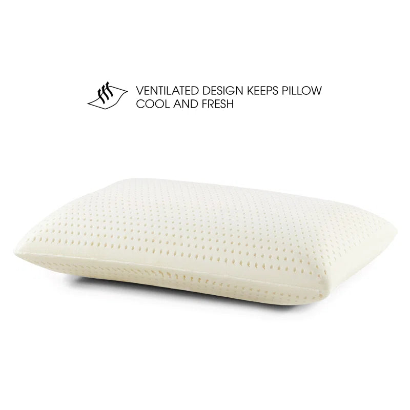 Emi (29x18) Latex Pillows In (Pack of 2) - Febonic Living