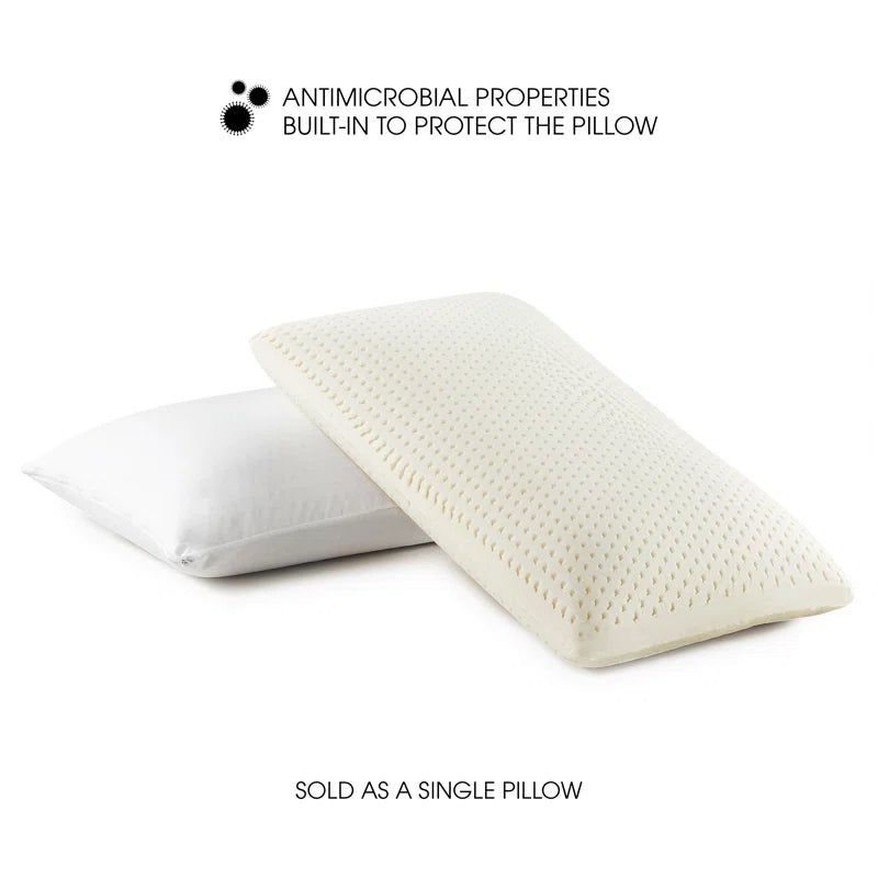 Emi (29x18) Latex Pillows In (Pack of 2) - Febonic Living