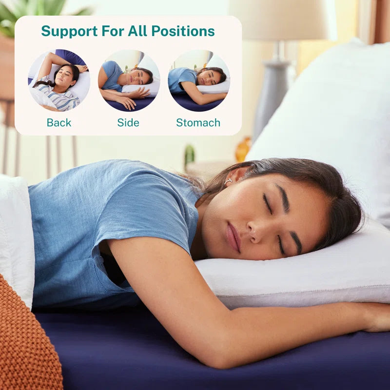 Omkar Shredded (12x20) Memory Foam Pillows (Pack of 2) - Febonic Living