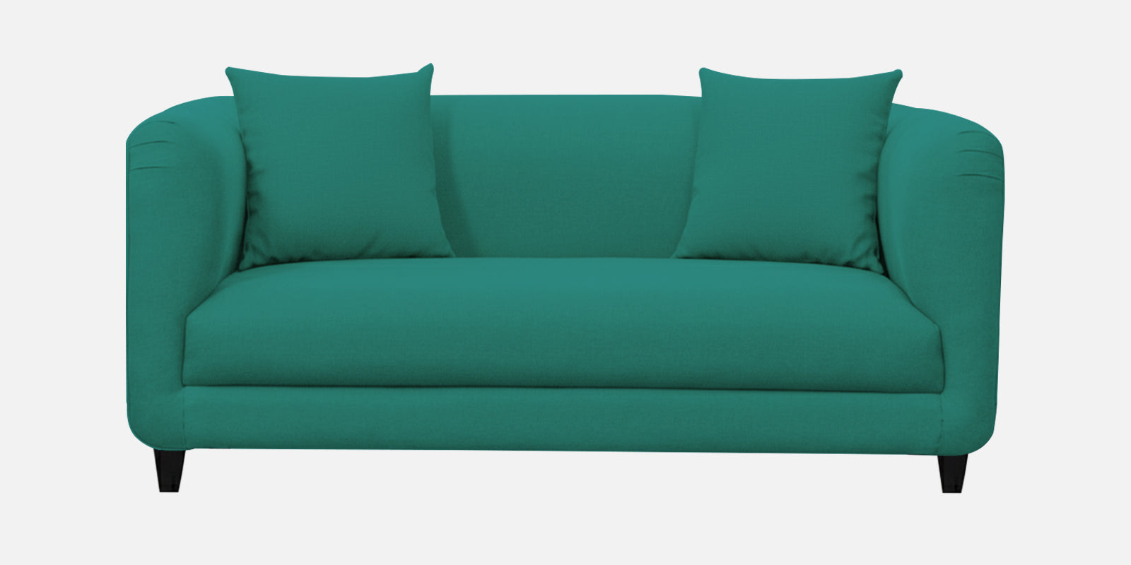 Niki Fabric 2 Seater Sofa In Sea Green Colour