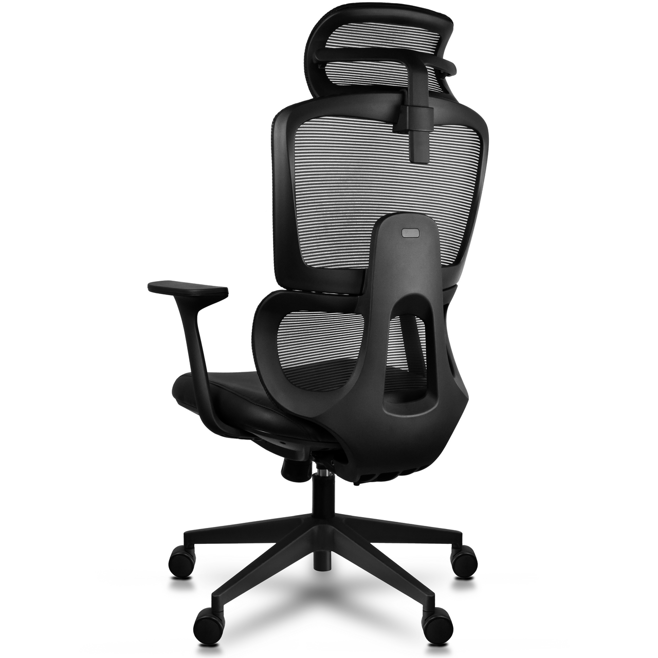 Loyar Mesh Ergonomic Office Chair In Baba Black - Febonic Living